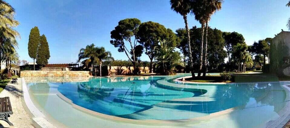 Piscina circondata da palme al Relais Reggia Domizia
